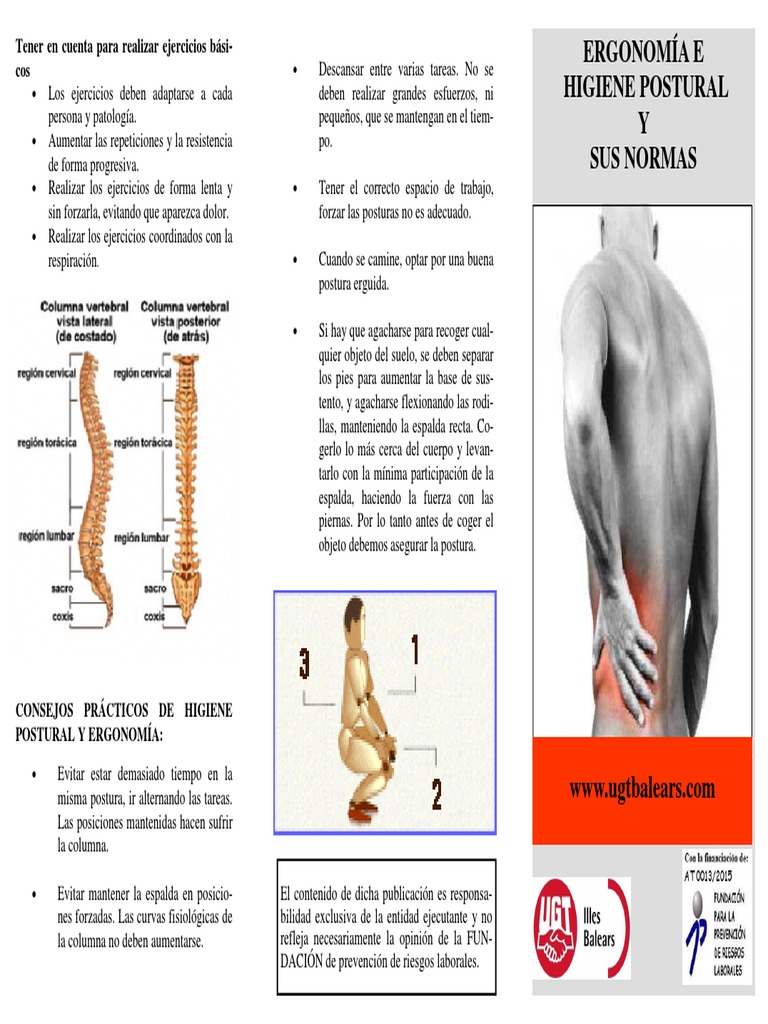 Normas de Higiene Postural y Ergonomía | PDF | Dolor lumbar | Medicina ...