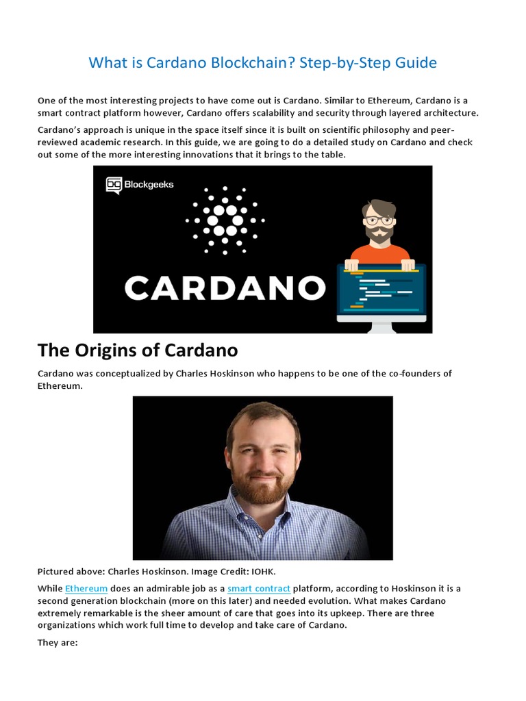 What Is Cardano Blockchain Step By Step Guide Pdf Programming