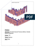 Trabajo Practico N Antropología
