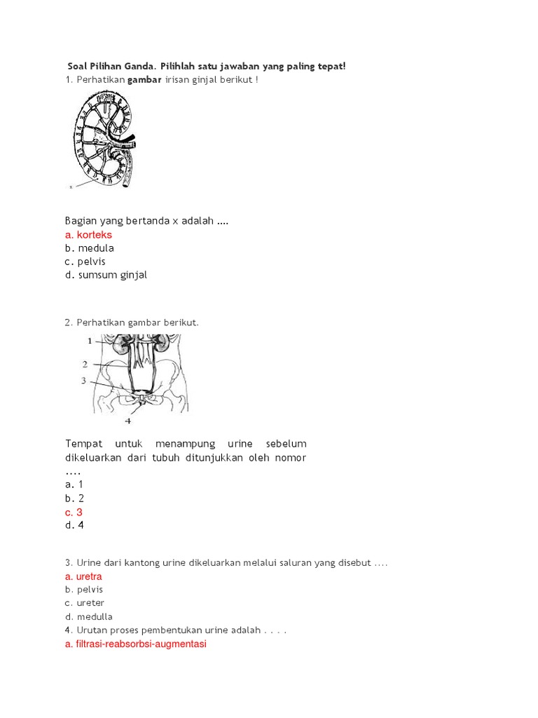 Soal Pilihan Ganda Ginjal