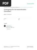 A New Genus for the Waterthrushes (Parulidae)