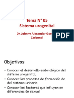 Sistema Urogenital