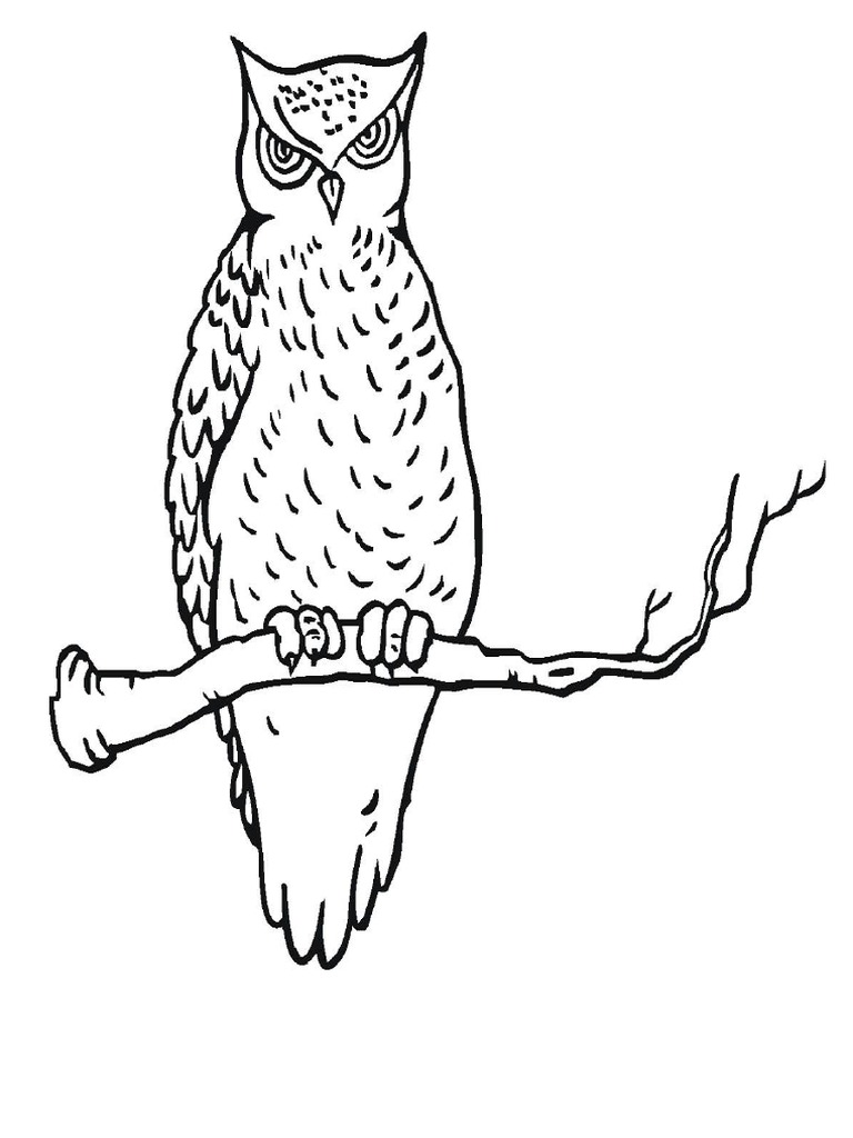 710 Koleksi Gambar Hantu F HD