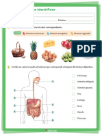 Guia N°3 Naturales Tercero