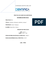 Practica 4 Agrotecnia (1)