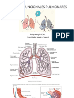 Unidad Funcional Pulmonar