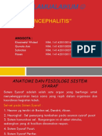 Ppt Encephalitis Kelompok 8