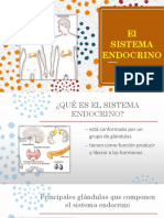 Sistema Endocrino