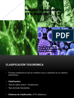 Clasificación taxonómica de virus según ICTV y Baltimore