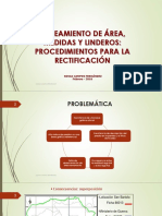 Saneamiento de Área, Medidas y Linderos: Procedimientos para La Rectificación.