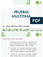 jitorres_Presentación Pruebas Multitasa.pdf