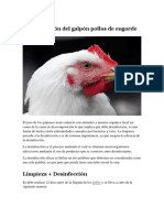 Desinfección Del Galpón Pollos de Engorde