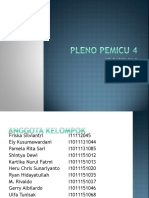 PLENO PEMICU 4 DK 9