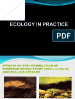 Ecology in Practice