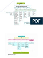 Esquema de Los Determinantes