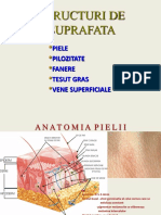 Anatomie: Structuri de Suprafata