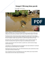 Pencemaran Sungai Ciliwung Kian Parah