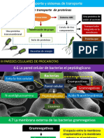 TEMA 1 Microbiologia.pptx