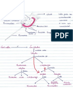 Mapa de Conceitos 2