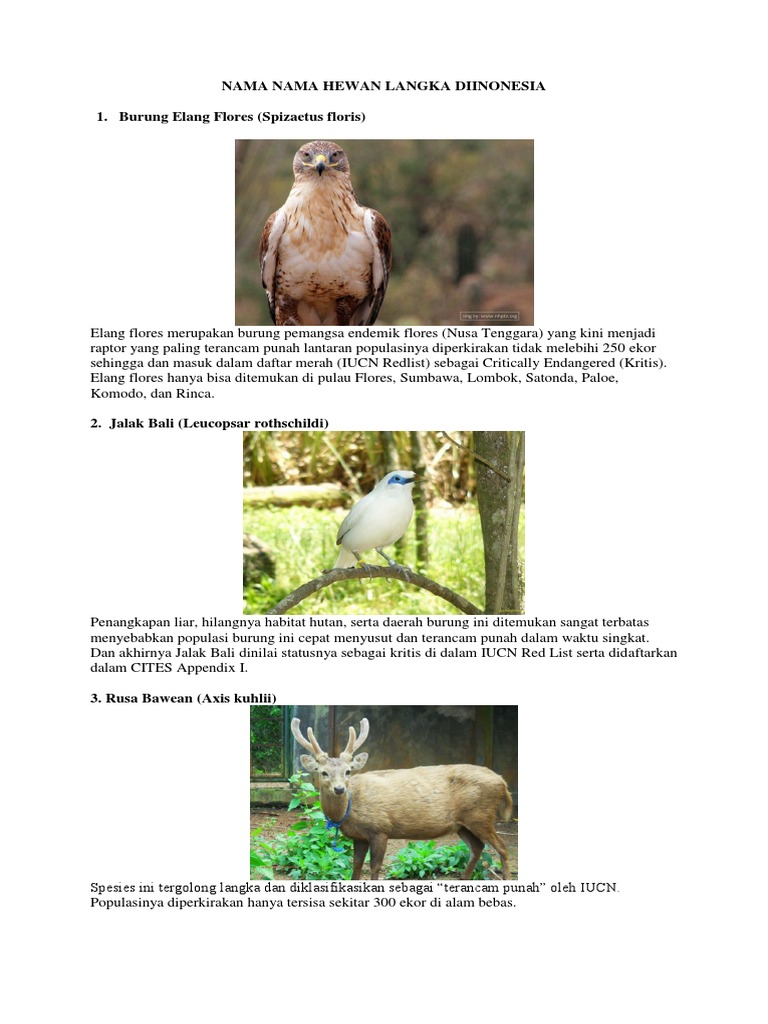 Tugas Besok Pagi Docx