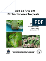 Estado Da Arte Em Fitobacterioses Tropicais