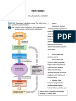 Homeostasis Dari Rheza