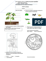 Evaluación Diagnóstica de Ciencias Naturales de Séptimo Grado