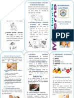 Triptico de La Lactancia Materna