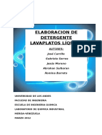 PROYECTO-DETERGENTE.pdf