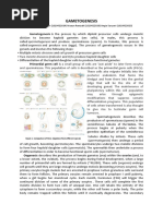Gametogenesis: Gametogenesis Is The Process by Which Diploid Precursor Cells Undergo Meiotic