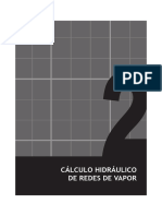 2_CALCULO_HIDRAULICO_DE_REDES_DE_VAPOR.pdf