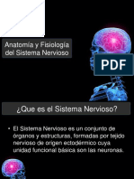 Anatomia y Fisiologia Del SNC
