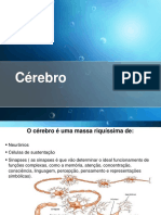 Cérebro