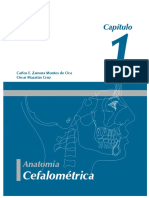 Cefa PDF