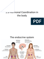 Hormonal Coordination and Effects of Drug Abuse