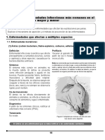 Manual de Sanidad Animal Part2 PDF