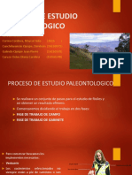 Proceso de Estudio Paleontologico