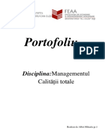 Portofoliu - Docx TQM