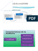 Características de La Auditoría-1510084219