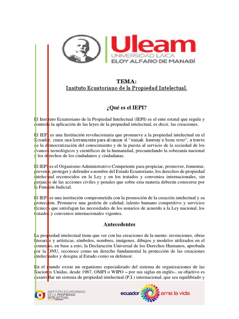 Qué Es El IEPI | PDF | Propiedad intelectual | Gobierno
