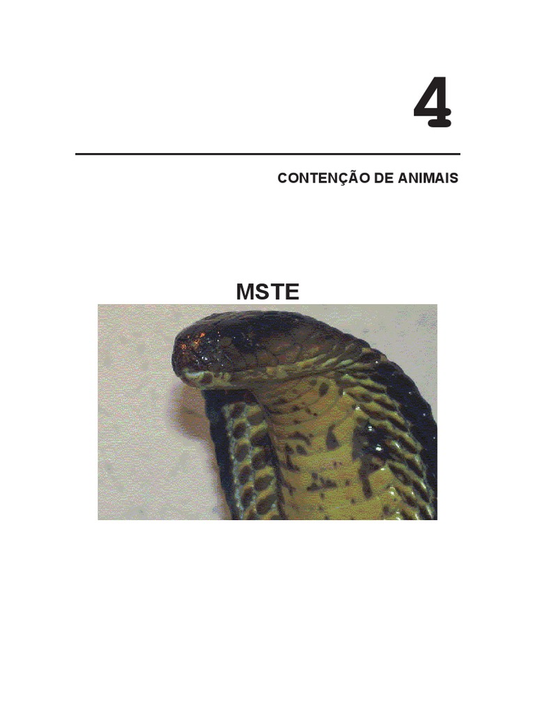Série sobre explorações de biólogos desmistifica cobras brasileiras -  Estadão