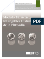 18_Activos-Intangibles-Distintos-de-la-Plusvalía_2013.pdf