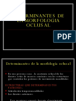 determinantesdelamorfologiaoclusal1-090511135730-phpapp01 (1).pdf