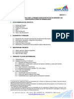 1-Estructura-y-guia-de-presentacion-para-proyectos.pdf