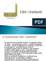 Cikli I Karbonit