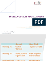 Intercultural Management