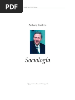 Anthony Giddens - Sociologia, Estratificación...