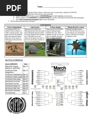 DB 2018 March Mammal Madness