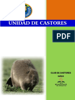 Cuaderno de Castores PDF