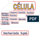 La Celula